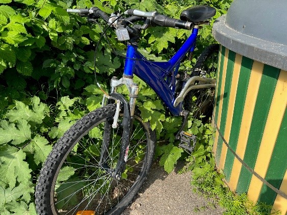 VTT bleu